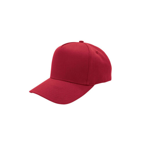 Pro Style Twill Cap
